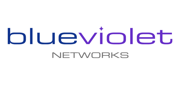 BlueViolet Networks, Company Logo